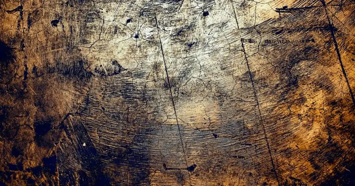 Solgar Alıç Kapsülü: Kalp ve Damar Sağlığını Destekleyen Doğal Takviye Ürünü